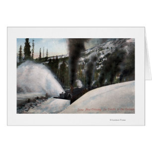 Schneepferde Bahngleise in Rocky