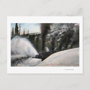 Schneepferde Bahngleise in Rocky Postkarte