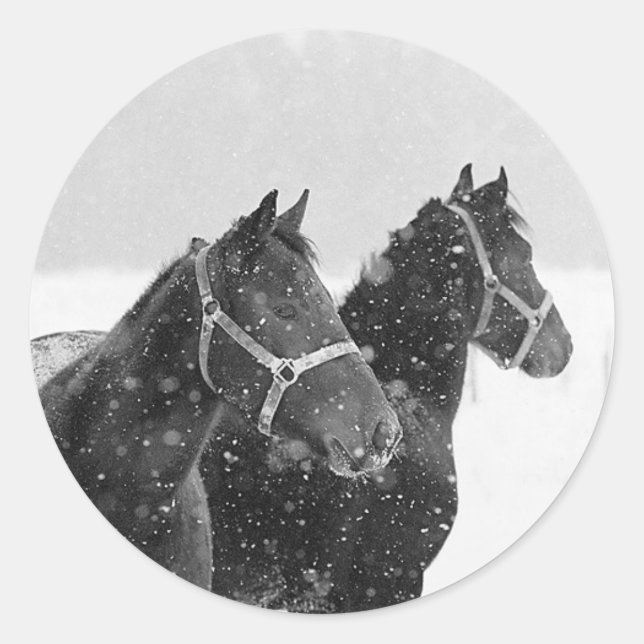 Schneepferde Runder Aufkleber (Vorderseite)