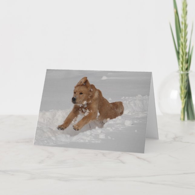 Schneepflug! Karte (Vorderseite)