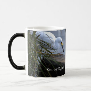 Schneeregenpfeifer-Foto-Tasse Verwandlungstasse
