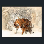 Schneeschauer Poster<br><div class="desc">Tiger Mutter und Kind laufen auf Schnee.</div>
