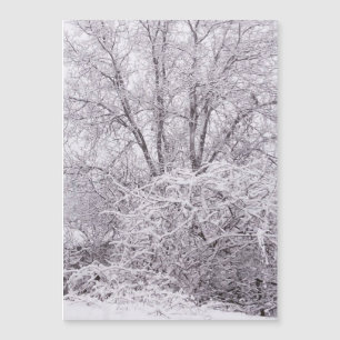 Schneeschlittenkarte Magnetkarte