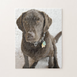 Schneeschokolade Labrador Fotografie Puzzle