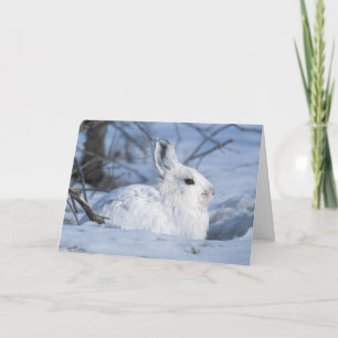 Schneeschuh-Hare im Schnee Feiertagskarte