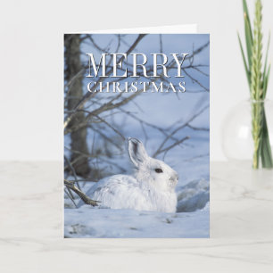 Schneeschuh-Hare im Schnee Feiertagskarte