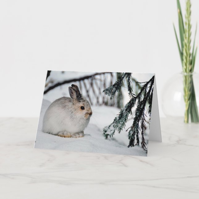 Schneeschuh Hare Winter Schnee Natur Szene Karte (Vorderseite)