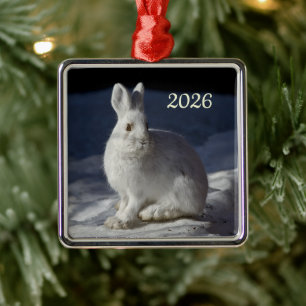 Schneeschuhhase, Denali-Nationalpark, Alaska Ornament Aus Metall