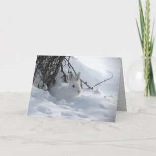 Schneeschuhhase unter Busch im Schnee Feiertagskarte