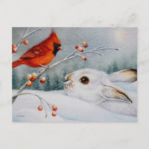 Schneeschuhrabbit und Roter Kardinal Bird - Farbe  Postkarte