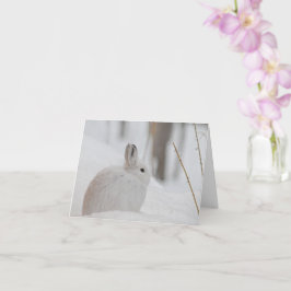 Schneeschuhverleih im Schnee Karte