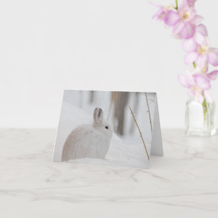 Schneeschuhverleih im Schnee Karte