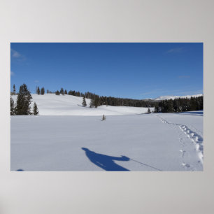 Schneeschuhwandern im Yellowstone-Nationalpark Poster