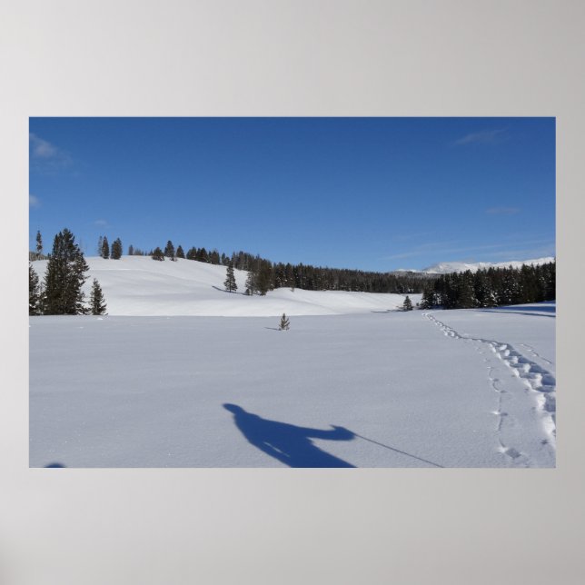 Schneeschuhwandern im Yellowstone-Nationalpark Poster (Vorne)