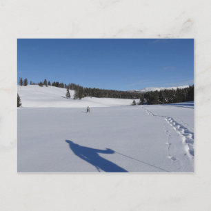 Schneeschuhwandern im Yellowstone-Nationalpark Postkarte