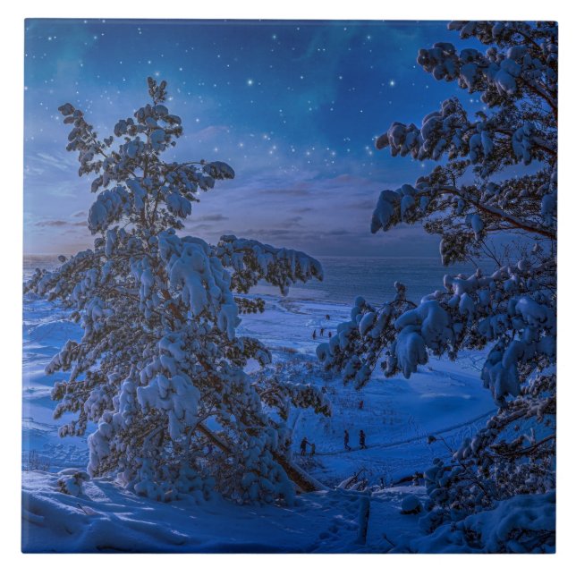 Schneesichere Ostseeküste mit Tannenbaum in der Na Fliese (Vorderseite)