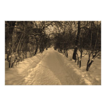 Schneespur mit Bäumen in Sepia