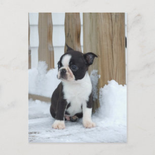 Schneestag Postkarte