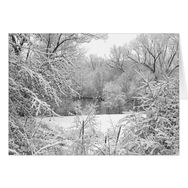 Schneesturm (Vorderseite (Horizontal))