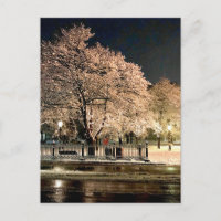 Schneesturm bei Nacht Salem Common Massachusetts F