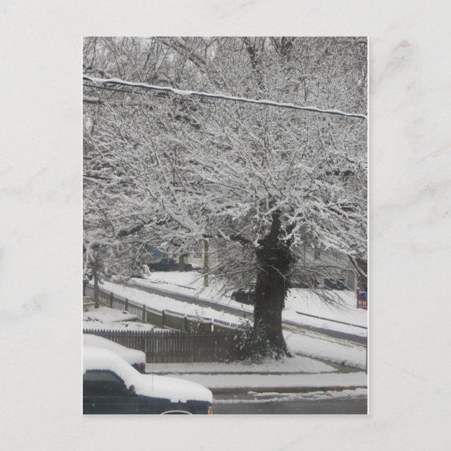 Schneeszene Postkarte (Vorderseite)