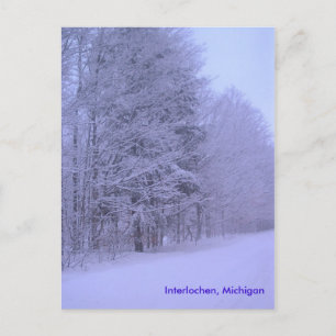 Schneetag, Interlochen, Michigan Postkarte