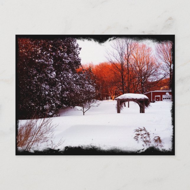 Schneetag Vermont 2011 Postkarte (Vorderseite)