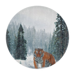 Schneetiger Schneidebrett