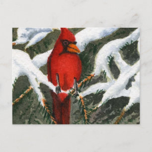 Schneeumgebung Drucken Postkarte