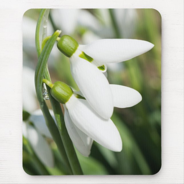 Schneeverfahren-Blume Mousepad (Vorne)