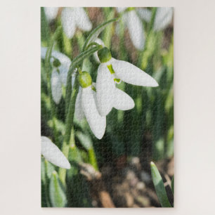 Schneeverfahren-Blume Puzzle