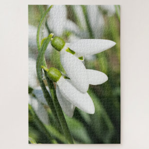 Schneeverfahren-Blume Puzzle