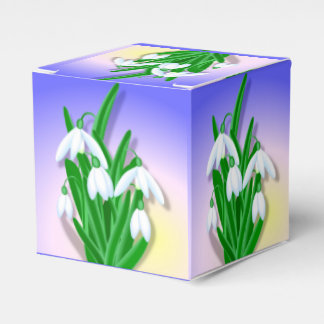 Schneeverfahren Geschenkschachtel