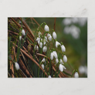 Schneeverfahren Postkarte