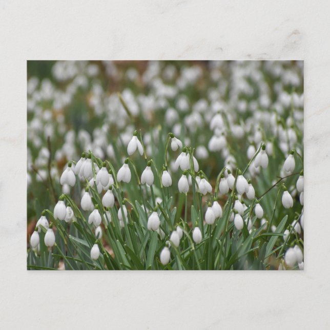 Schneeverfahren Postkarte (Vorderseite)