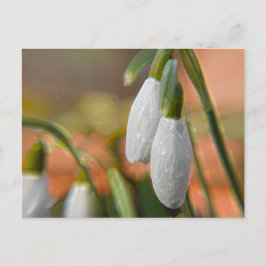 Schneeverfahren Postkarte