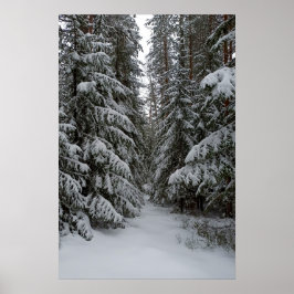 Schneeverhangener Immergrüner Wald individuell anp Poster