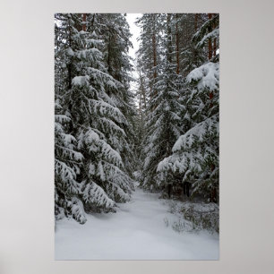 Schneeverhangener Immergrüner Wald individuell anp Poster