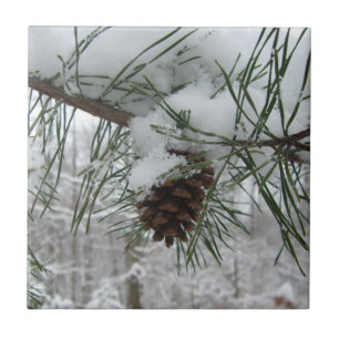 Schneeverzweig Winter Naturfotografie Fliese