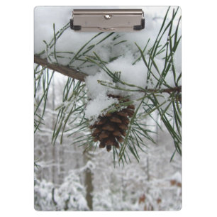 Schneeverzweig Winter Naturfotografie Klemmbrett