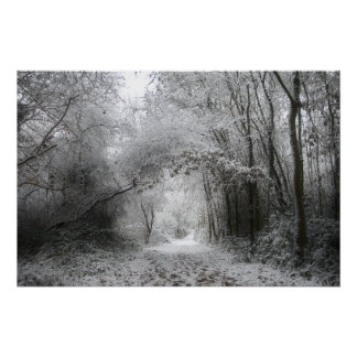 Schneewald (8656) poster