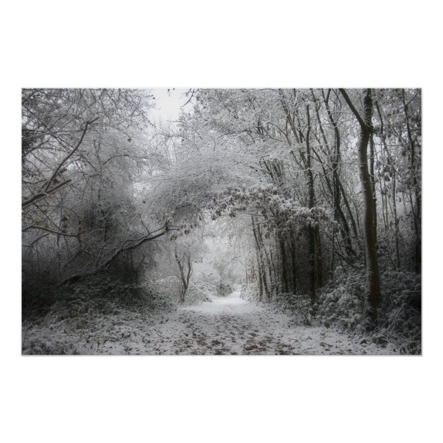 Schneewald (8656) poster (Vorderseite)