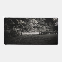 Schneewald bei Nacht