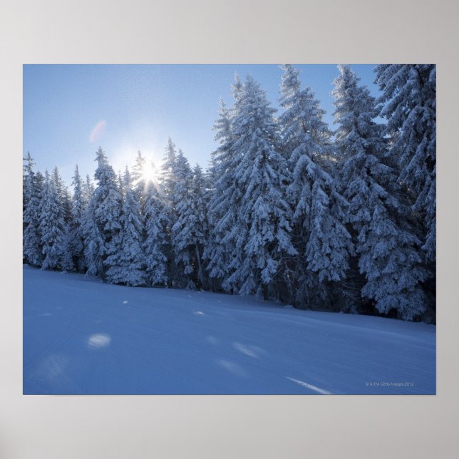Schneewald im Berg Poster (Vorne)