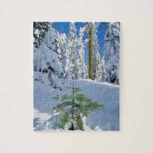 Schneewald in Oregon Puzzle