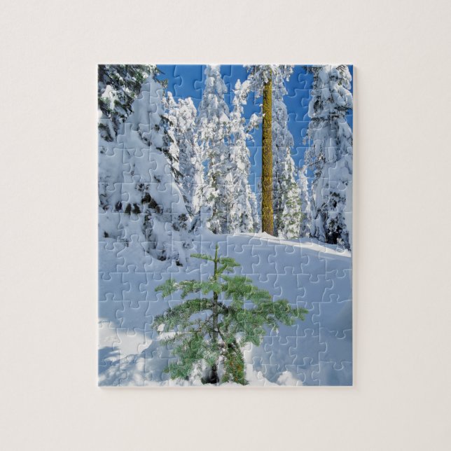 Schneewald in Oregon Puzzle (Vertikal)