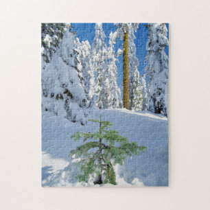 Schneewald in Oregon Puzzle