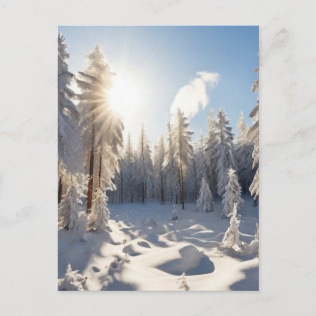 Schneewald Postkarte (Vorderseite)