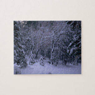 Schneewald Puzzle