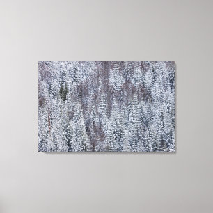 Schneewald, Rainier-Nationalpark Leinwanddruck